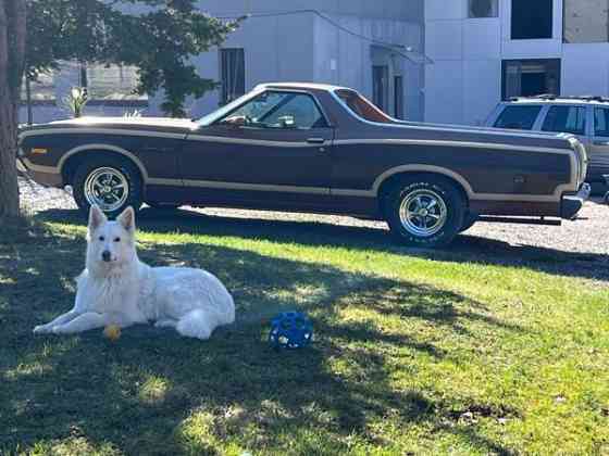 Ford Ranchero Kirkkonummi