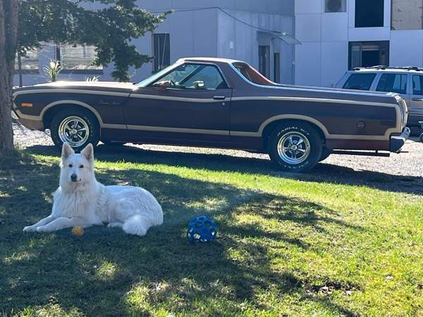 Ford Ranchero Kirkkonummi - photo 3