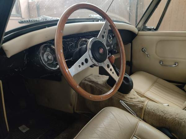 Austin Healey Muhos - valokuva 6