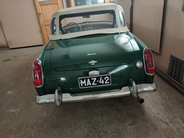 Austin Healey Muhos - valokuva 2