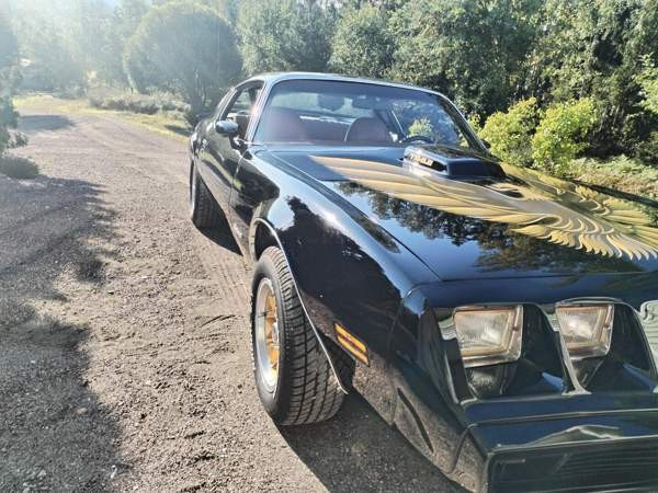 Pontiac Firebird Damascus Governorate - valokuva 7