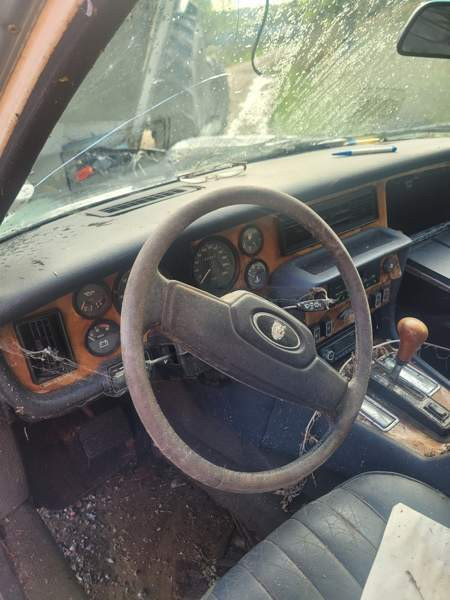 Jaguar XJ6 Sauvo - photo 3