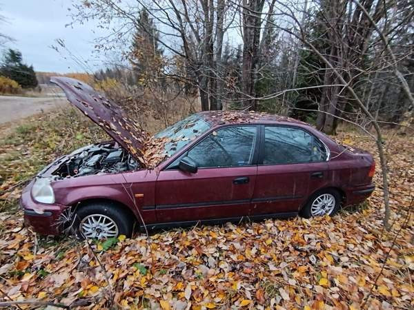 Honda Civic Tuusniemi - valokuva 7