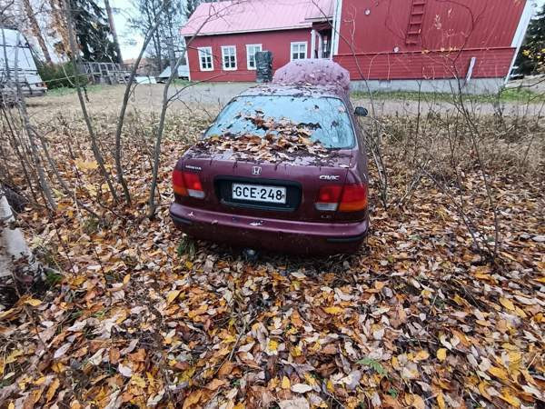 Honda Civic Tuusniemi - valokuva 2