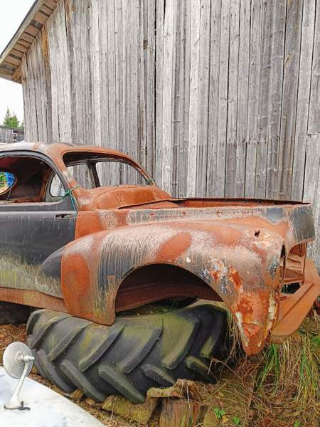 Peugeot 203 Vihanti - valokuva 8