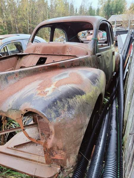 Peugeot 203 Vihanti - valokuva 6