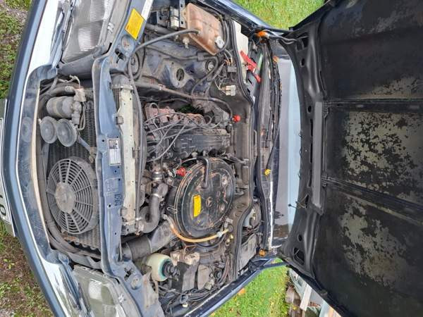 Mercedes-Benz SE Глебычево - изображение 7