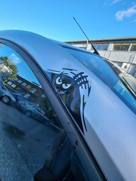 Smart Forfour Turtkul - valokuva 8