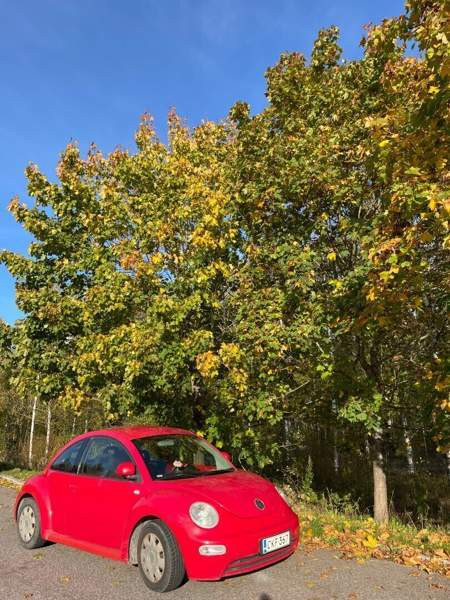 Volkswagen New Beetle Vantaa - photo 2