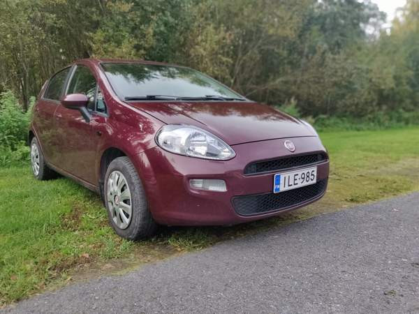 Fiat Punto Evo Запорожская область - изображение 1