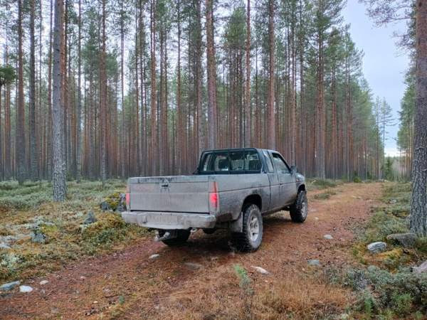 Nissan King Cab Piippola - valokuva 3