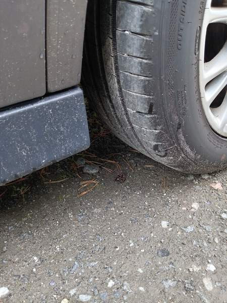 Ford C-MAX Grand Pälkäne – foto 8