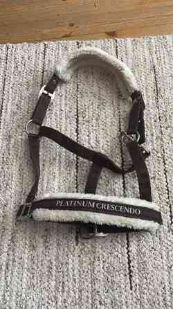 Karvapäitset Rantasalmi