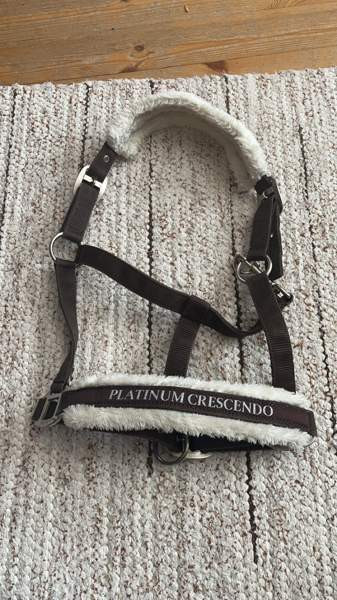 Karvapäitset Rantasalmi - photo 1