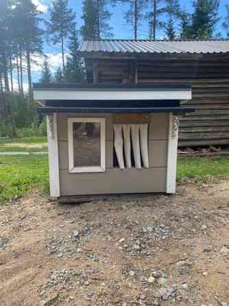 Eristetty Koirankoppi. Ii