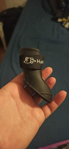 Koiran saappaat Kaarina - valokuva 1