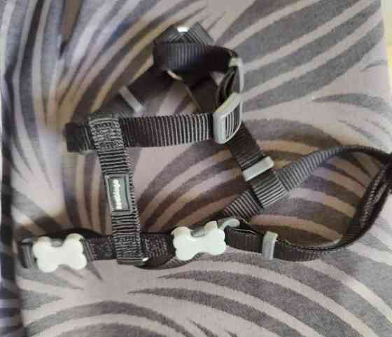 pienen koiran panta ja valjaat Haemeenlinna