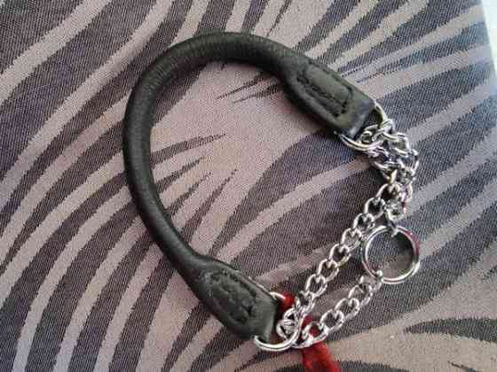 pienen koiran panta ja valjaat Haemeenlinna