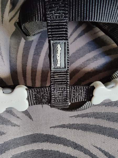 pienen koiran panta ja valjaat Haemeenlinna – foto 2