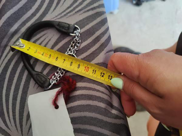 pienen koiran panta ja valjaat Haemeenlinna – foto 4