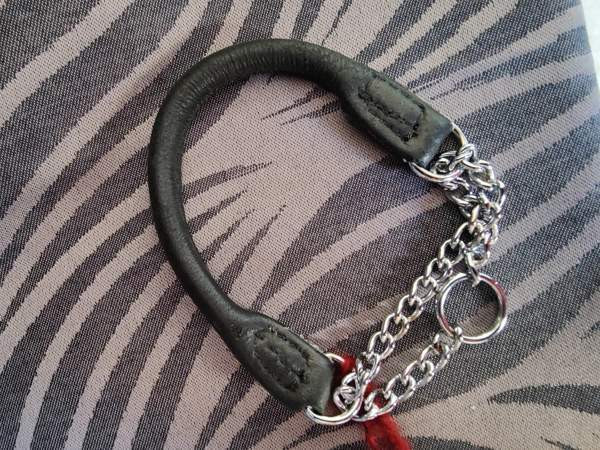 pienen koiran panta ja valjaat Haemeenlinna – foto 3