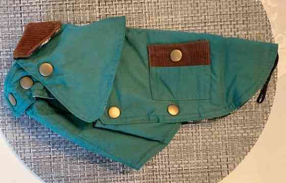 Koiran puku Jyvaeskylae