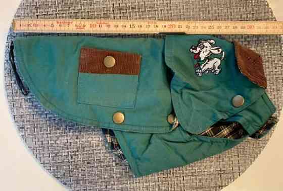 Koiran puku Jyvaeskylae