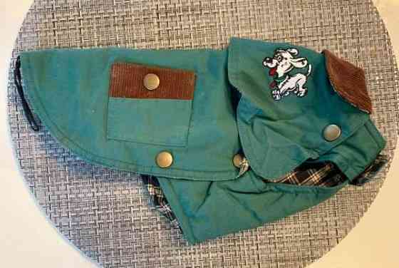 Koiran puku Jyvaeskylae