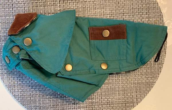 Koiran puku Jyväskylä - valokuva 3