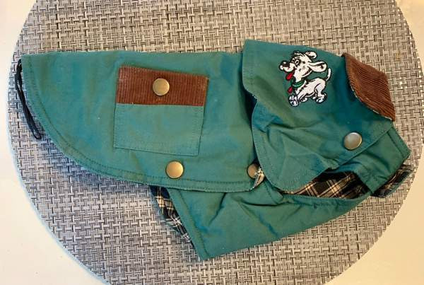 Koiran puku Jyväskylä - valokuva 2