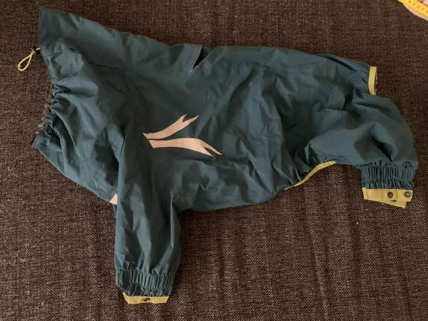 Kuratakki koiralle Tuusula - valokuva 1