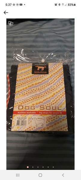 Koiran takki 70 cm Sastamala - valokuva 1