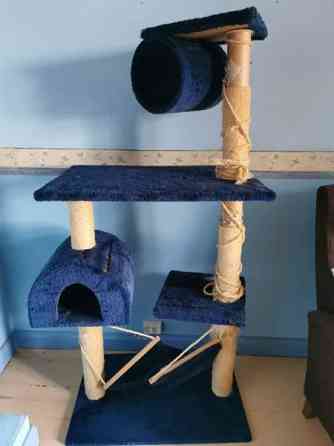 Kissantavaraa laidasta laitaan? Porvoo