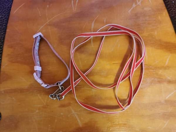 Kissantavaraa laidasta laitaan? Porvoo – foto 7