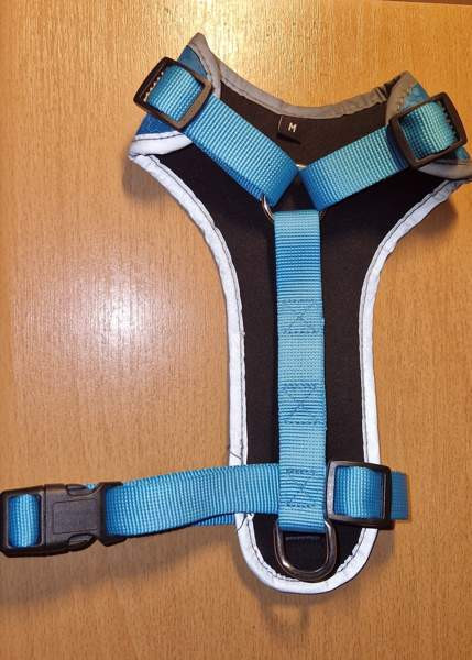 Pienen koiran valjaat Hamina - photo 2