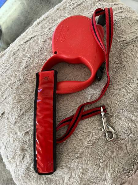 Koirahihna Helsinki - valokuva 1