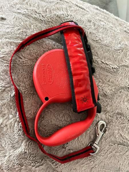 Koirahihna Helsinki - valokuva 3