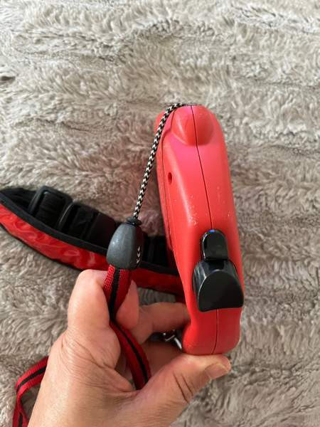 Koirahihna Helsinki - valokuva 2