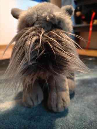 Russ Berrie Snautseri Pälkäne