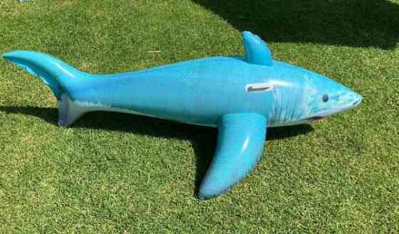 Shark uintilelu Helsinki