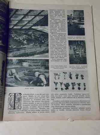 KODIN PUUTARHURI, KOTILIEDEN LIITE N:o4 / 1936 Kauhava