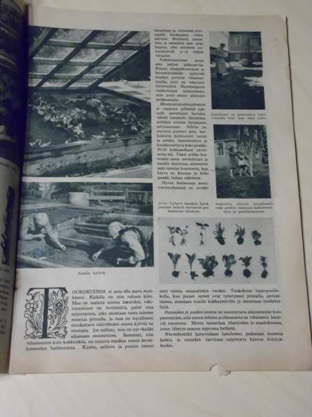 KODIN PUUTARHURI, KOTILIEDEN LIITE N:o4 / 1936 Kauhava - изображение 2