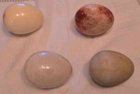 Useita kivimunia 1/2 Kirkkonummi