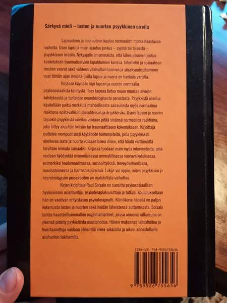 Särkyvä mieli -lasten & nuorten psyykkinen oireilu Ilomantsi - valokuva 2