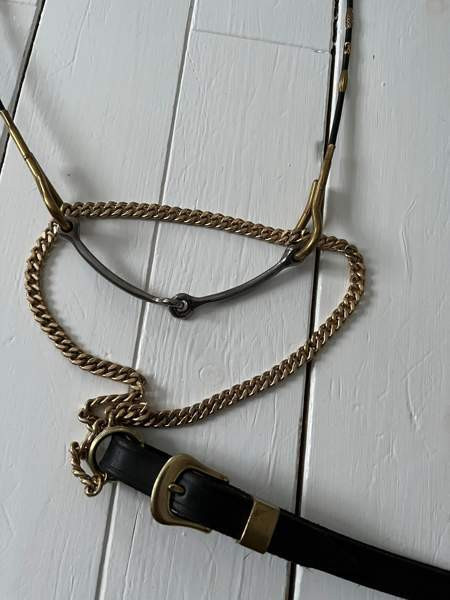 Näyttelyriimu arabille Petäjävesi – foto 4