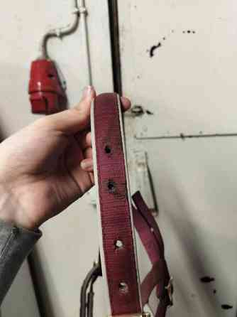 Bucas varsariimu Lappeenranta