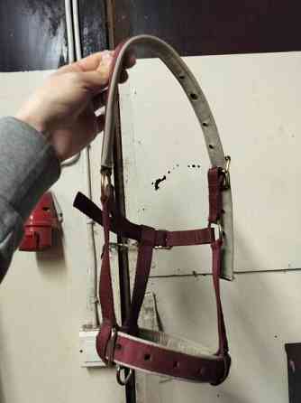 Bucas varsariimu Lappeenranta