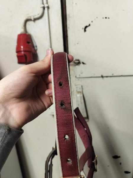 Bucas varsariimu Lappeenranta – foto 2