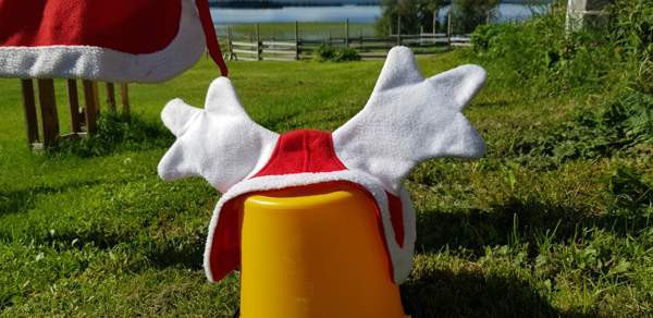 Jouluasusteet hevoselle ja ratsastajalle Kittilä – foto 2