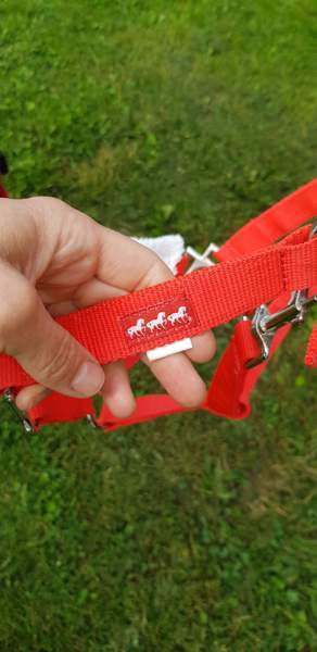 Jouluasusteet hevoselle ja ratsastajalle Kittilä – foto 6